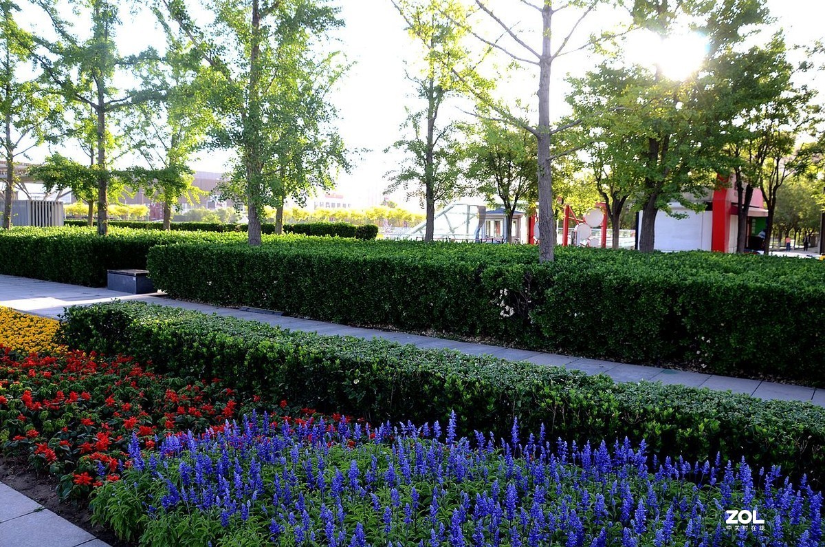 奥 林 广 场 风 景 ------。