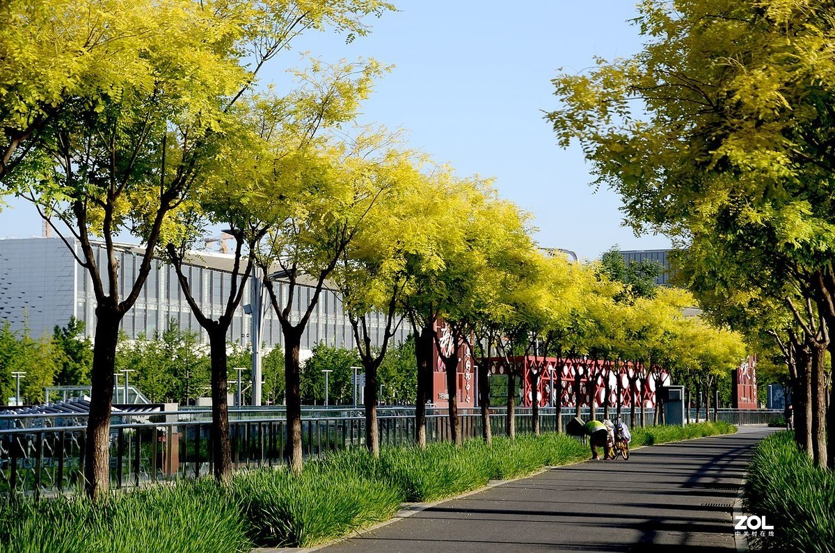 奥 林 广 场 风 景 ------。