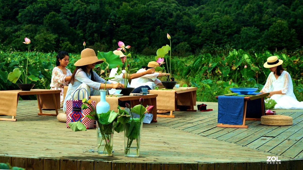 荷韵一一祝贺好友目的不一荣仼合肥星空(中国)新版主