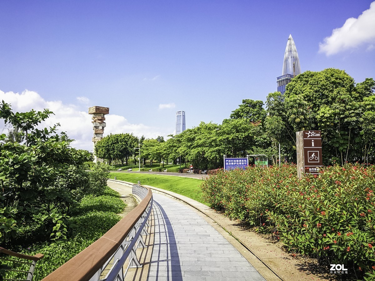 深圳灣紅樹林公園掠影