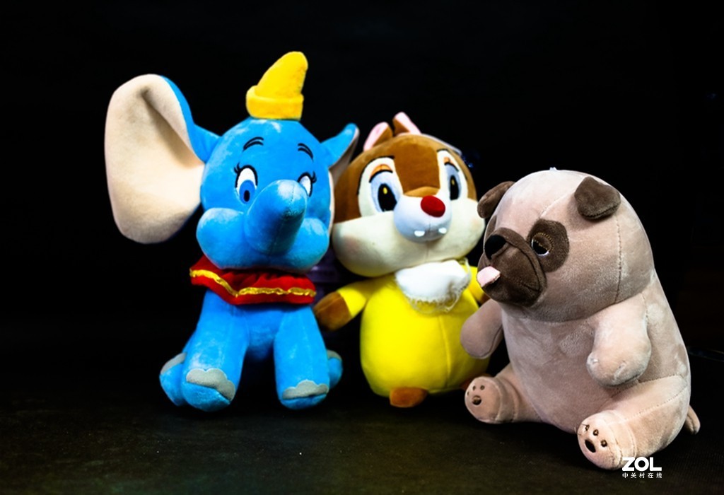 静物摆拍[毛公仔]