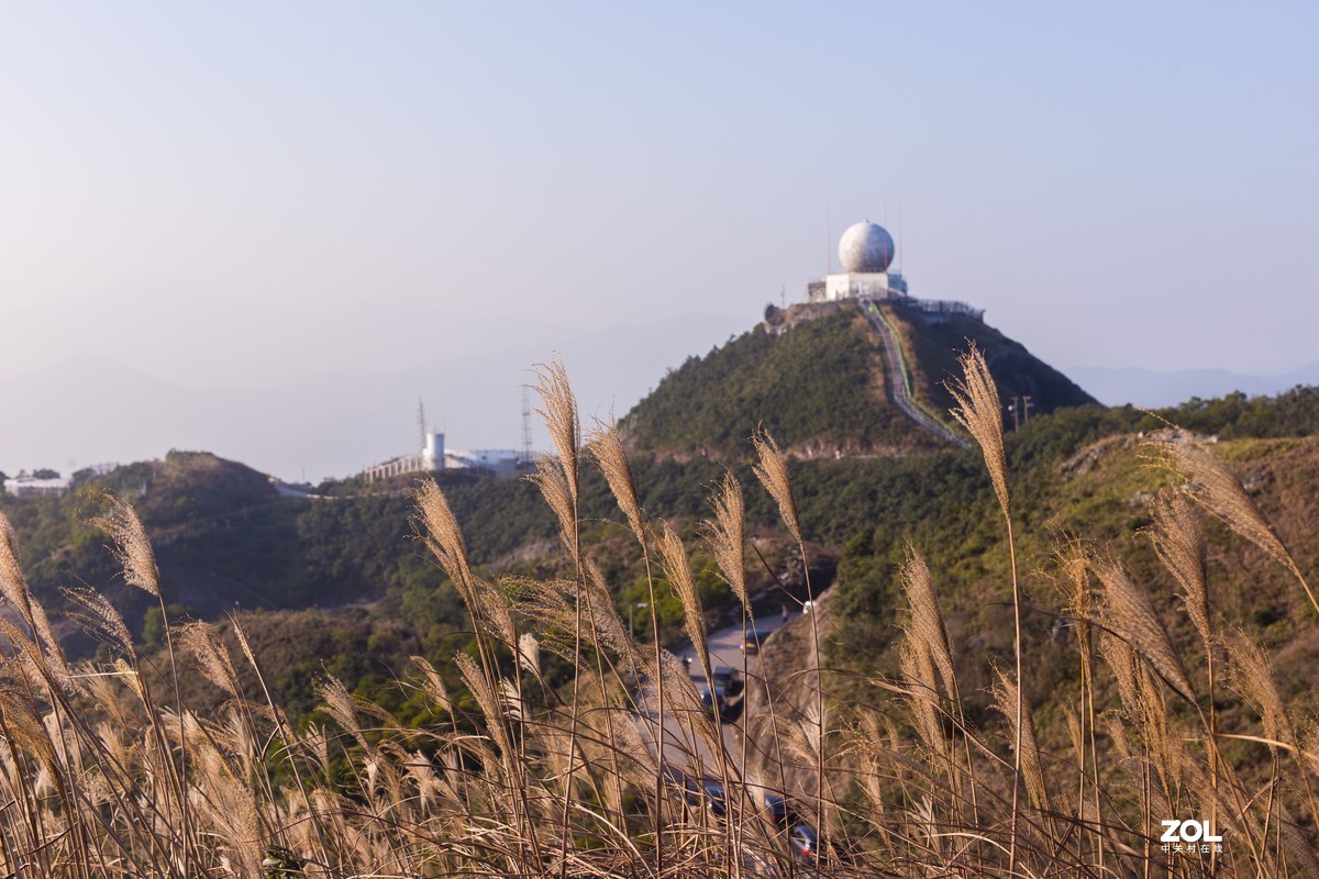 环飞鹅山健步芒草日落