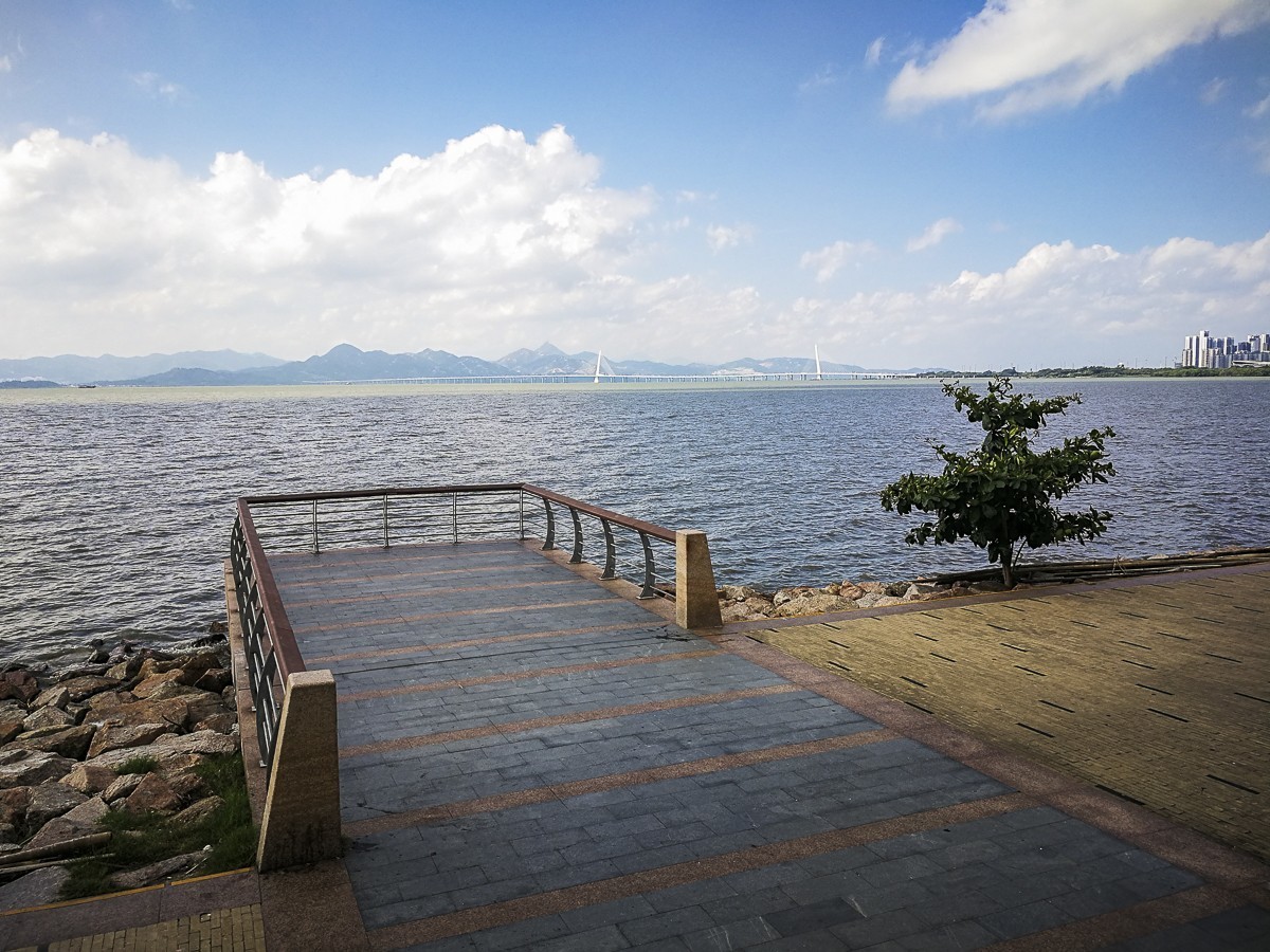 深圳灣紅樹林公園 ~ 掠影