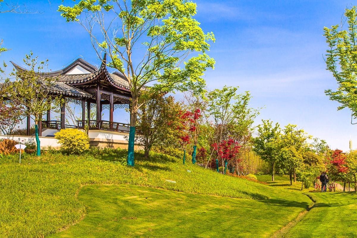 20210506扬州世博园南京园