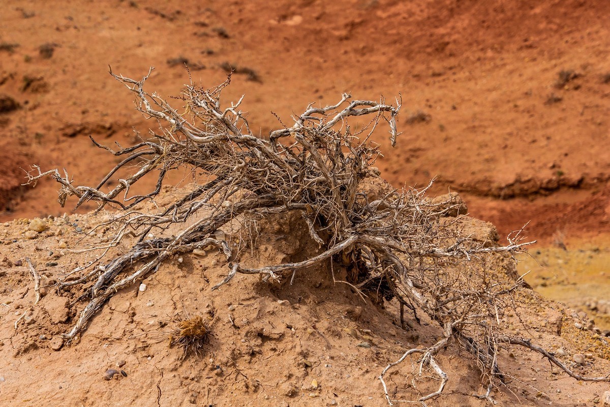 乌兰察布.四子王旗.大红山游记