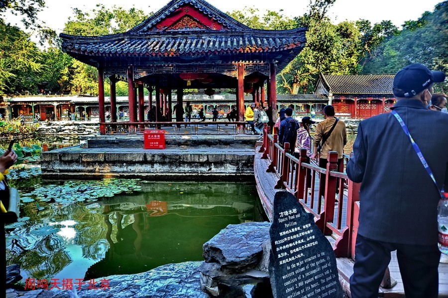 21年王府井夜景恭王府    周鸣天