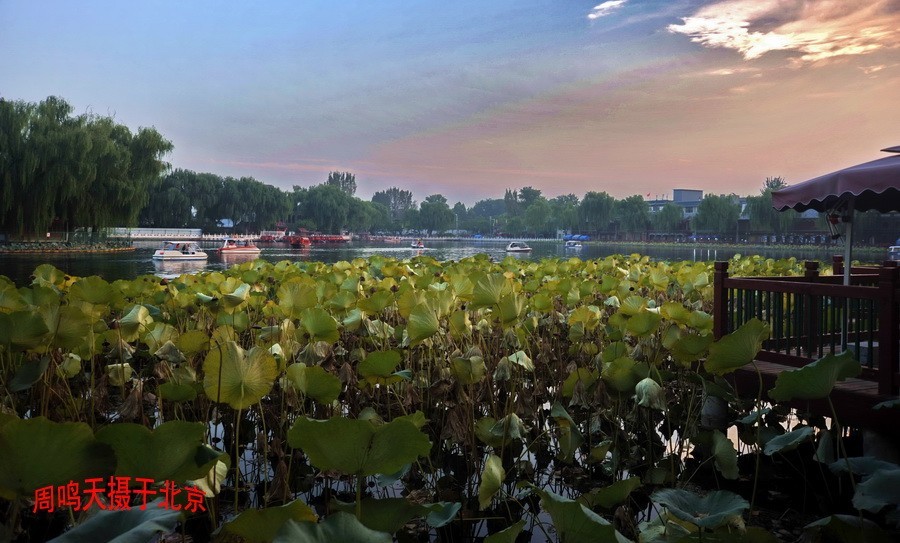 21年王府井夜景恭王府    周鸣天
