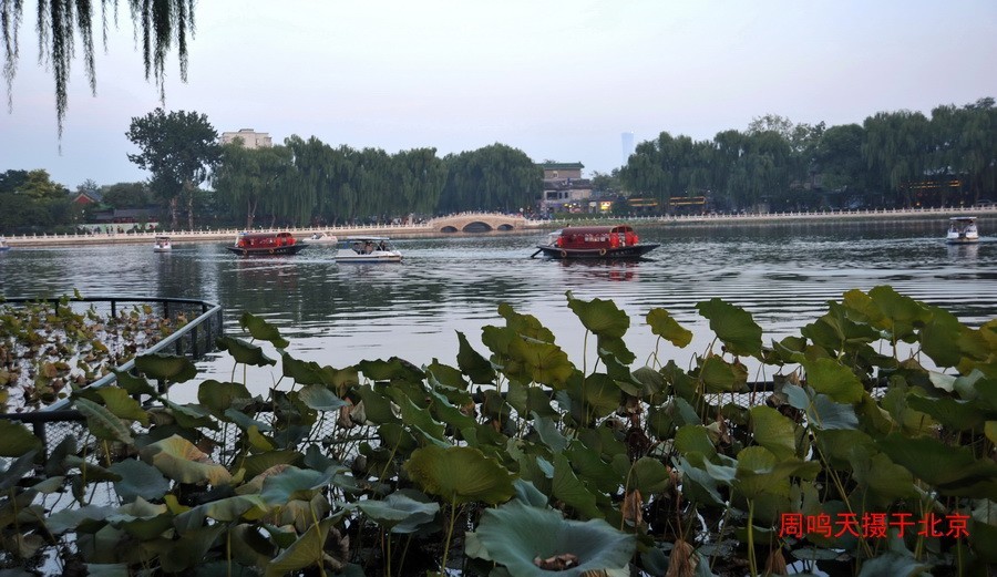21年王府井夜景恭王府    周鸣天