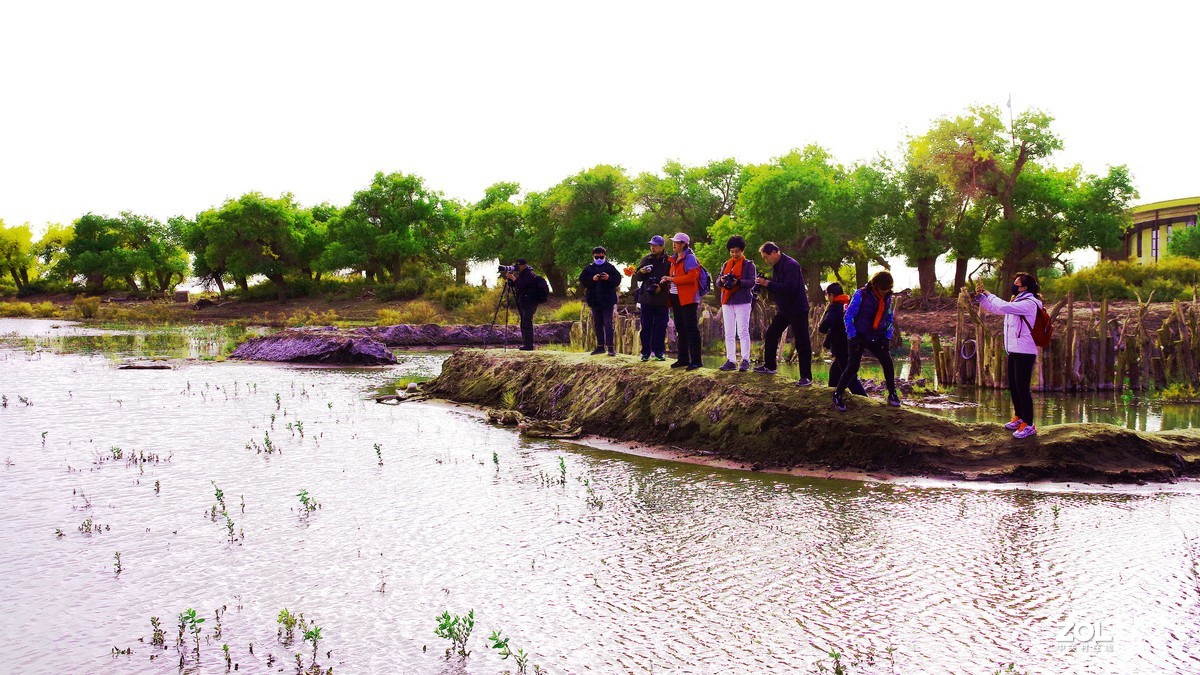 额济纳--黑城弱水胡杨林【2】