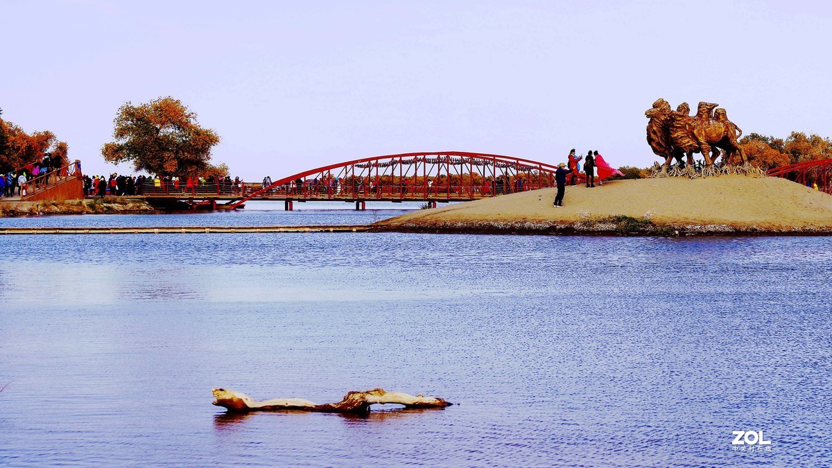 额济纳--黑城弱水胡杨林【2】