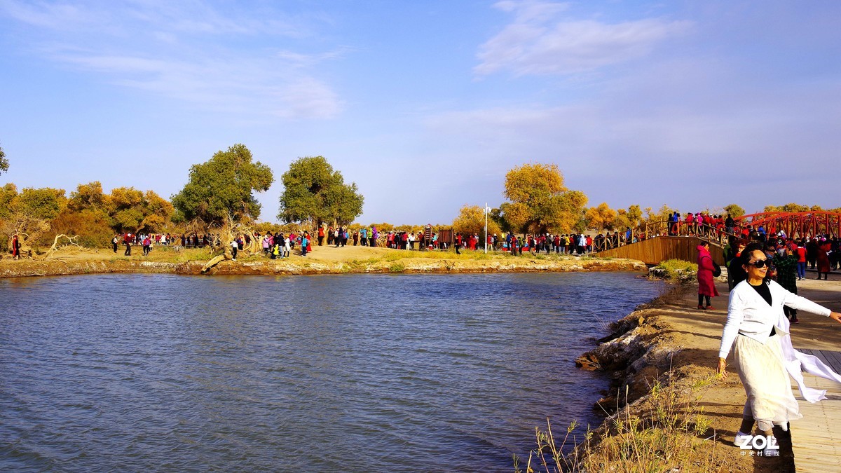 额济纳--黑城弱水胡杨林【2】