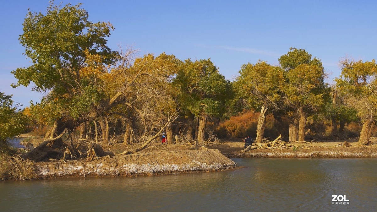 额济纳--黑城弱水胡杨林【2】