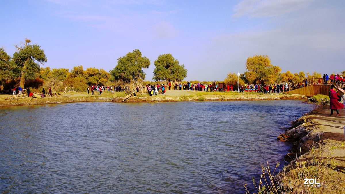 额济纳--黑城弱水胡杨林【2】