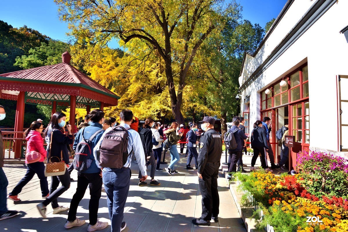 北京香山公园红叶