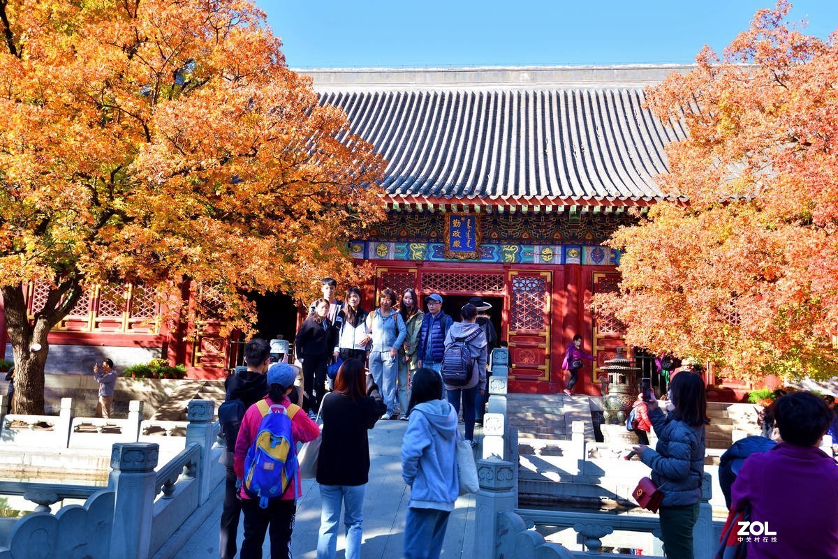 北京香山公园红叶