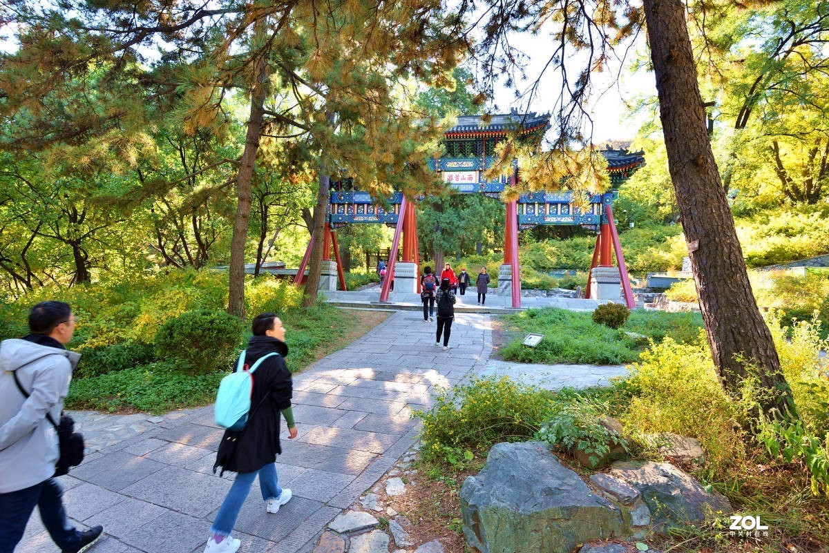 北京香山公园红叶