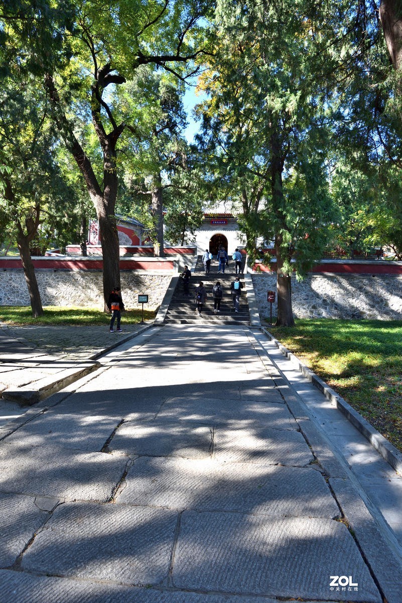 北京香山公园红叶