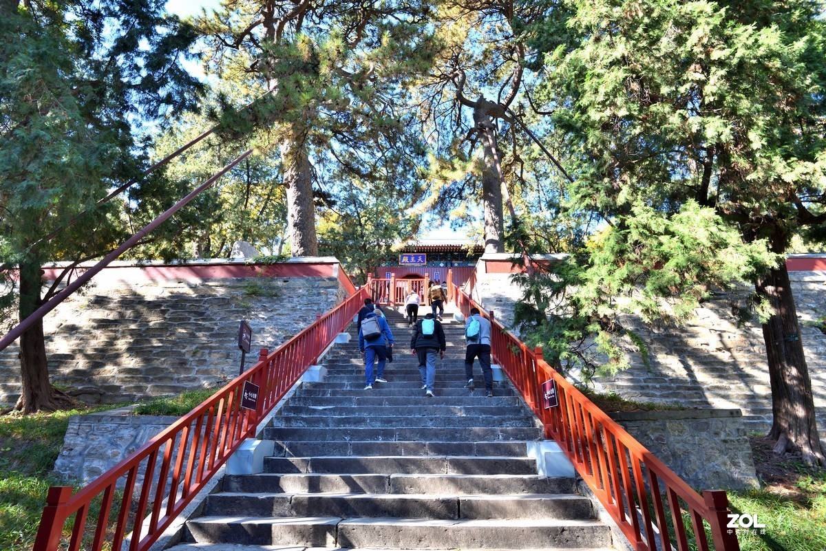 北京香山公园红叶