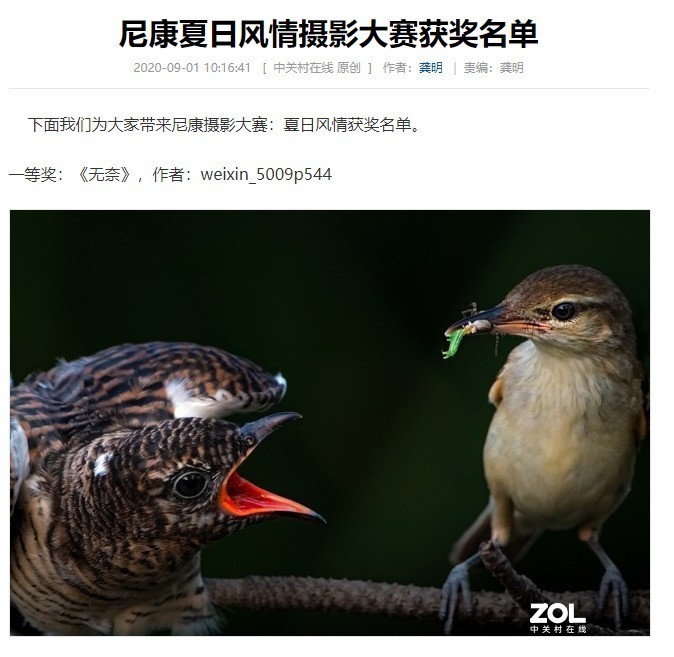 我的作品《无语》，被weixin_5009p544剽窃，可恨！请大赛组委会调查处理！！！