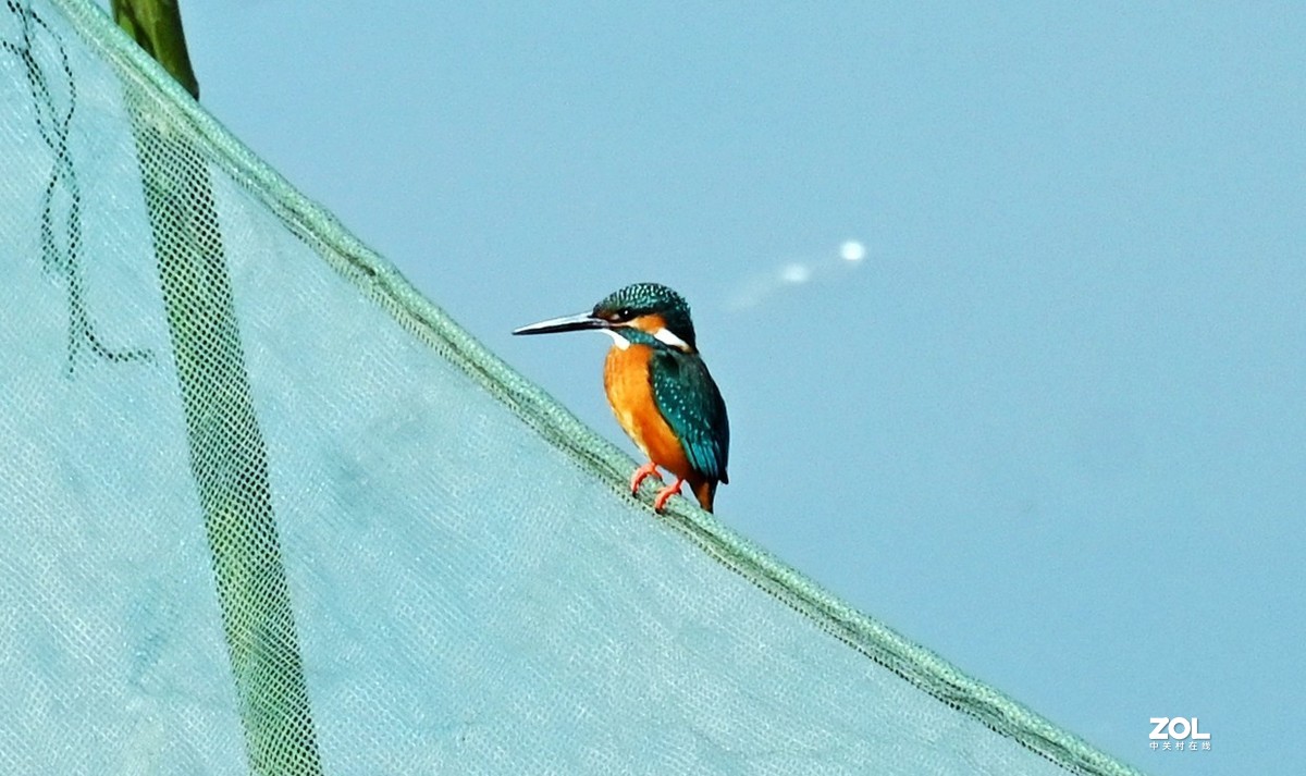 尼康Z6配尼克尔 Z 24-200mm f/4-6.3镜头