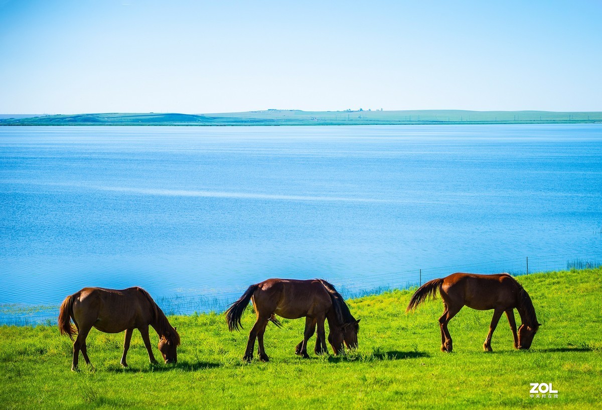 呼伦贝尔--呼和诺尔湖湖畔(1)