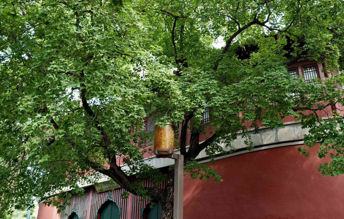 秋天的角楼&北海公园