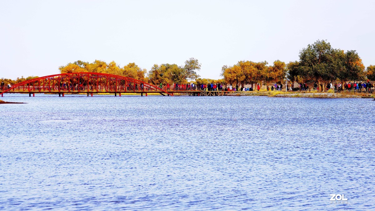 额济纳--黑城弱水胡杨林【2】