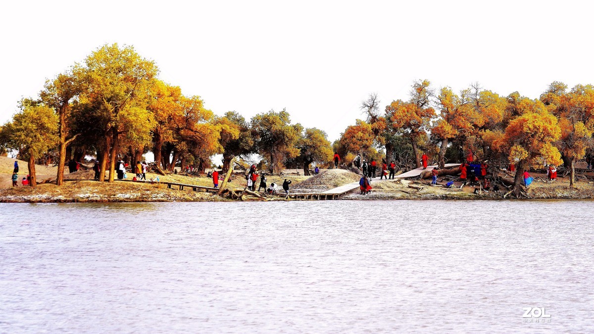 额济纳--黑城弱水胡杨林【2】