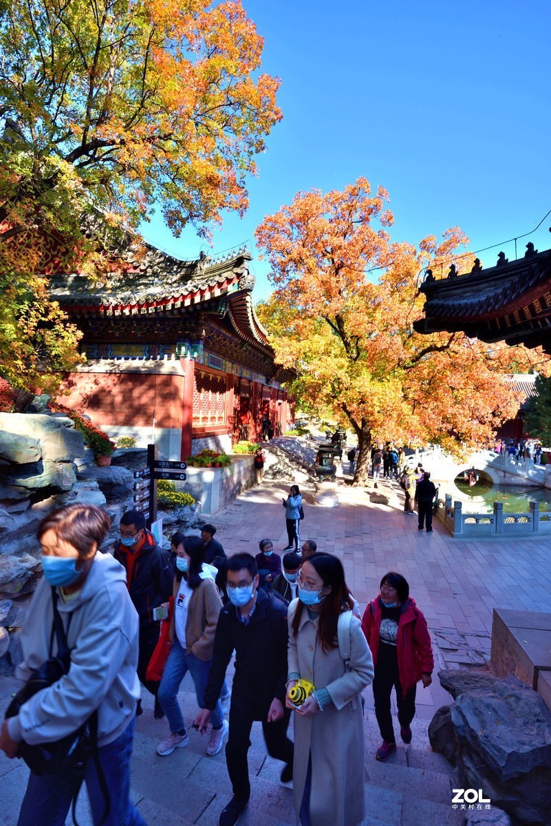 北京香山公园红叶