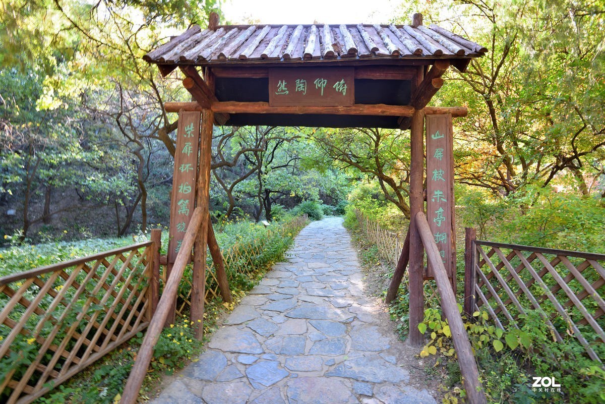 北京香山公园红叶