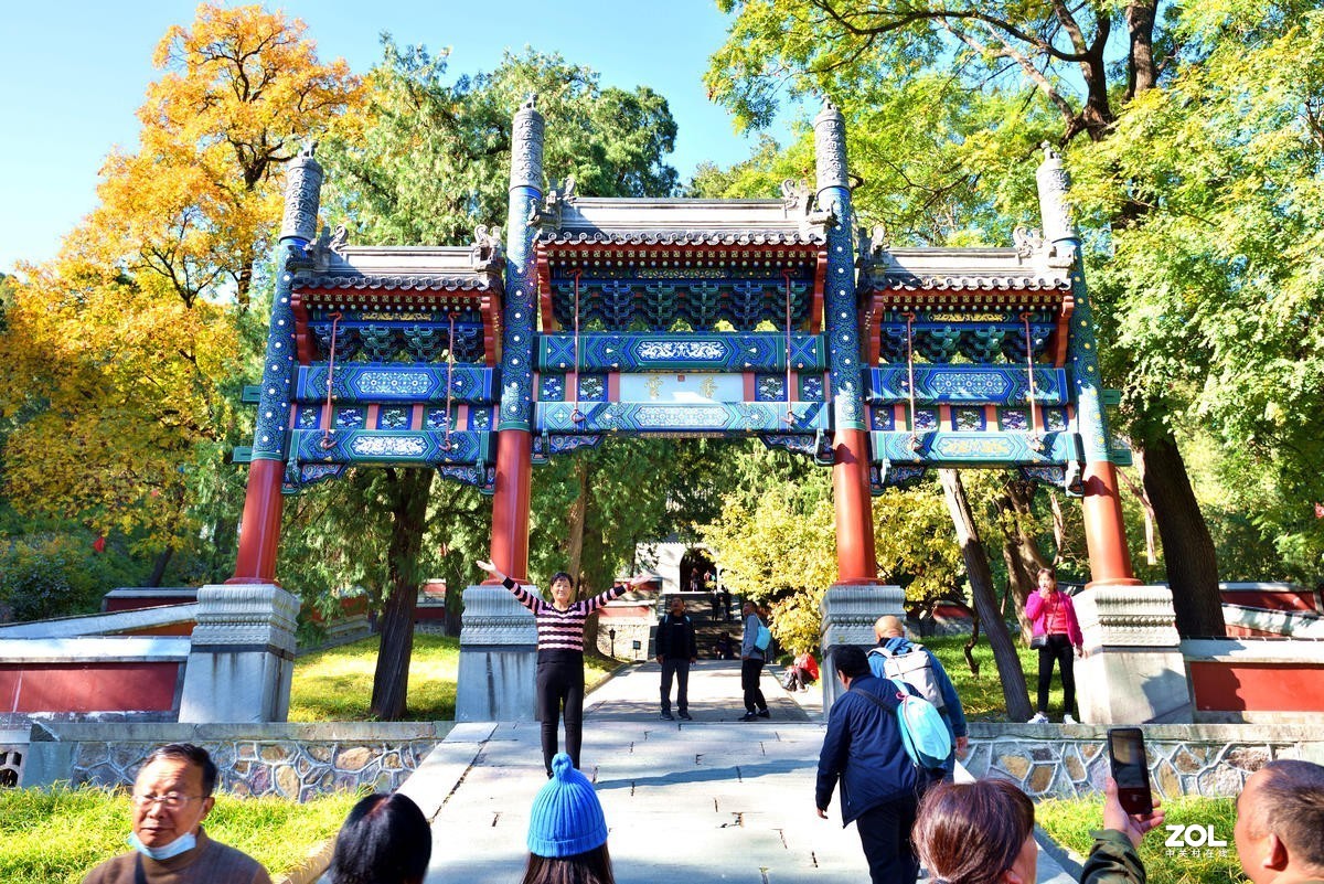 北京香山公园红叶