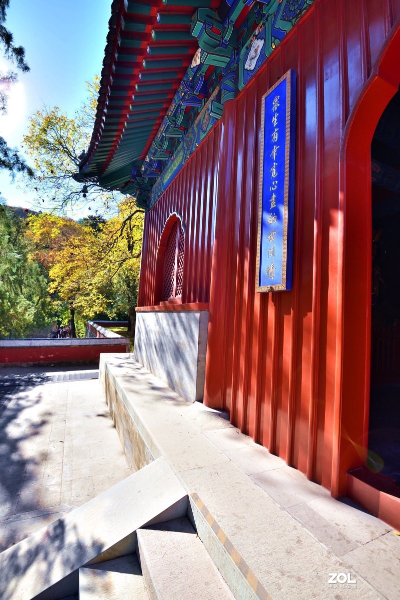 北京香山公园红叶