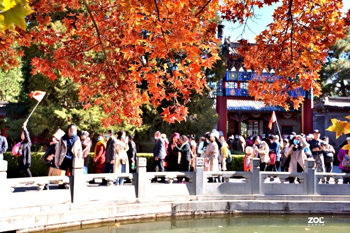北京香山公园红叶