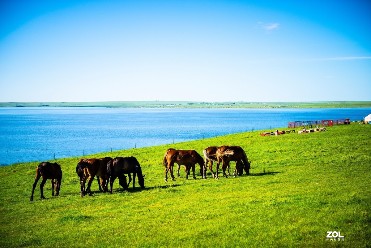 呼伦贝尔--呼和诺尔湖湖畔(1)