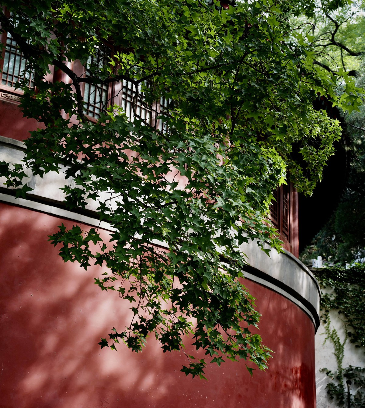 秋天的角楼&北海公园