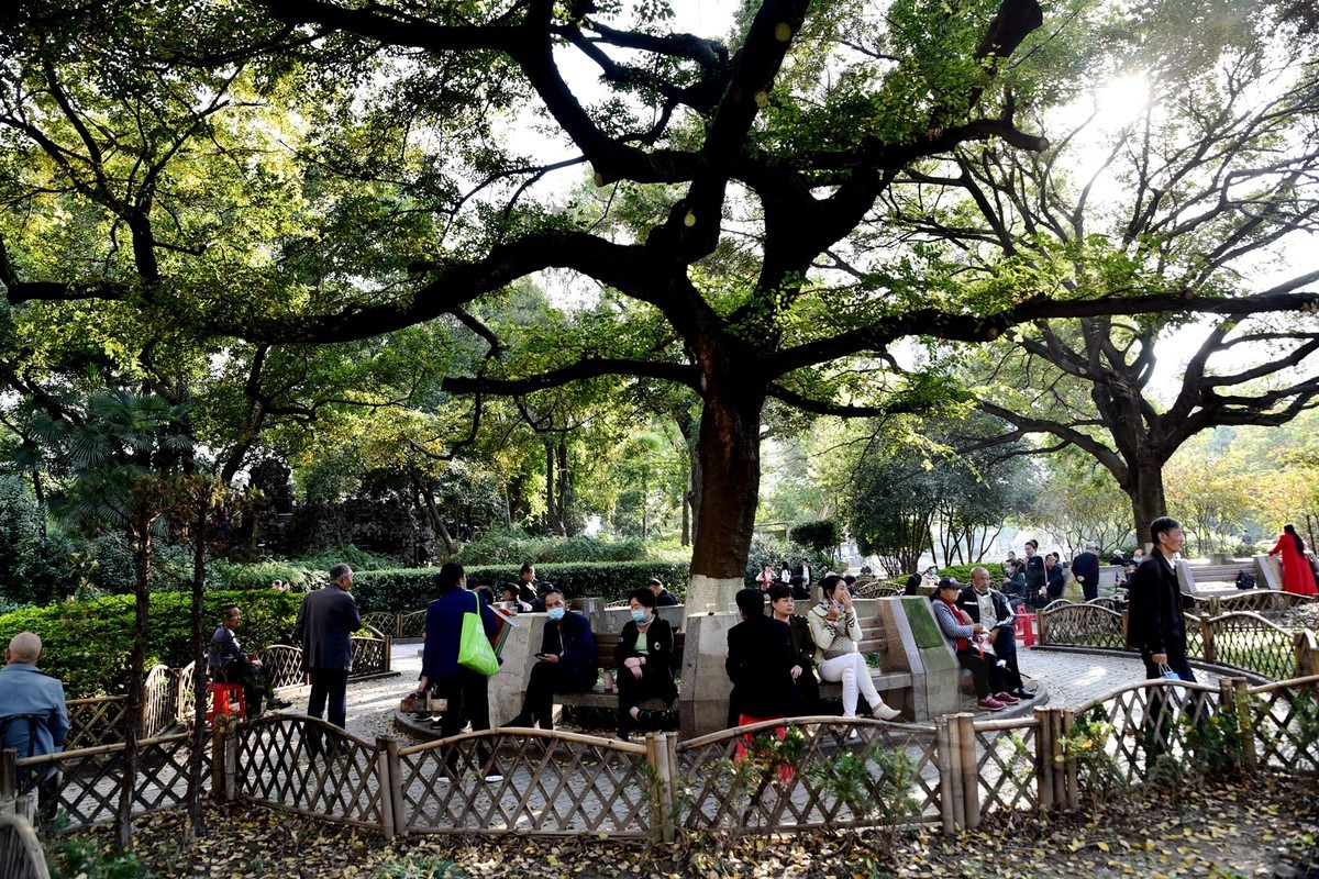 【家乡美】胜似春光——再看中山公园