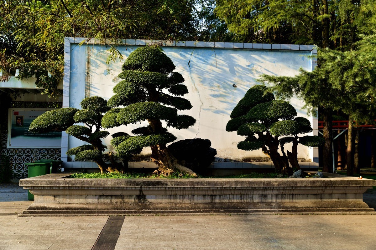 【家乡美】胜似春光——再看中山公园