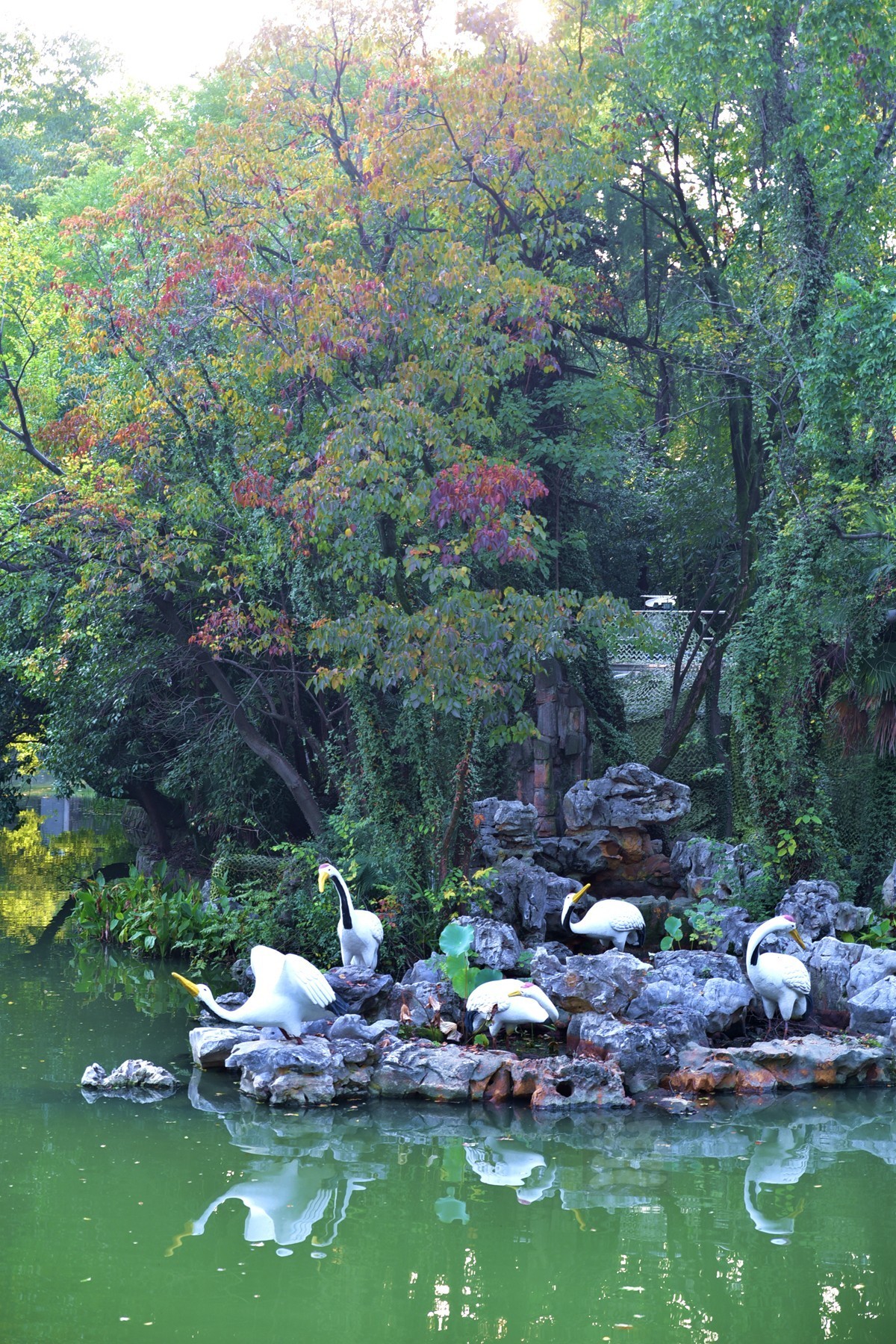 【家乡美】胜似春光——再看中山公园