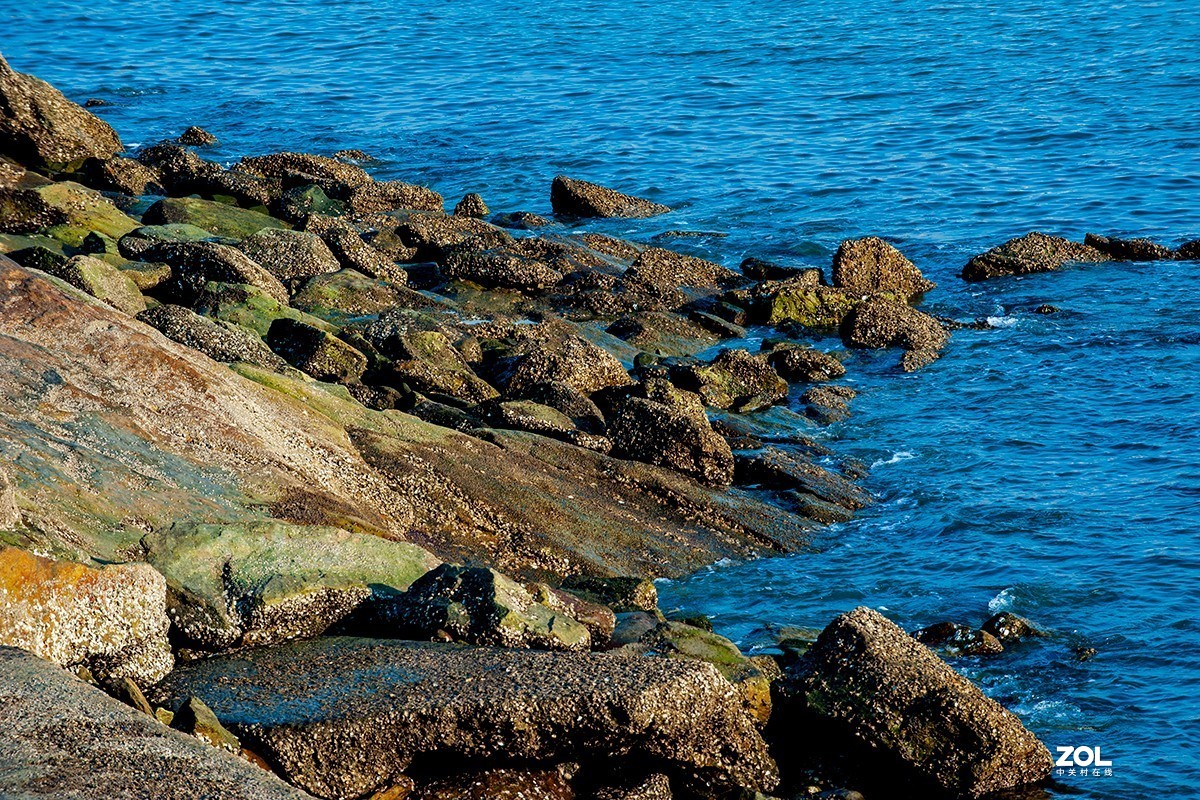 海边学生写生杂拍