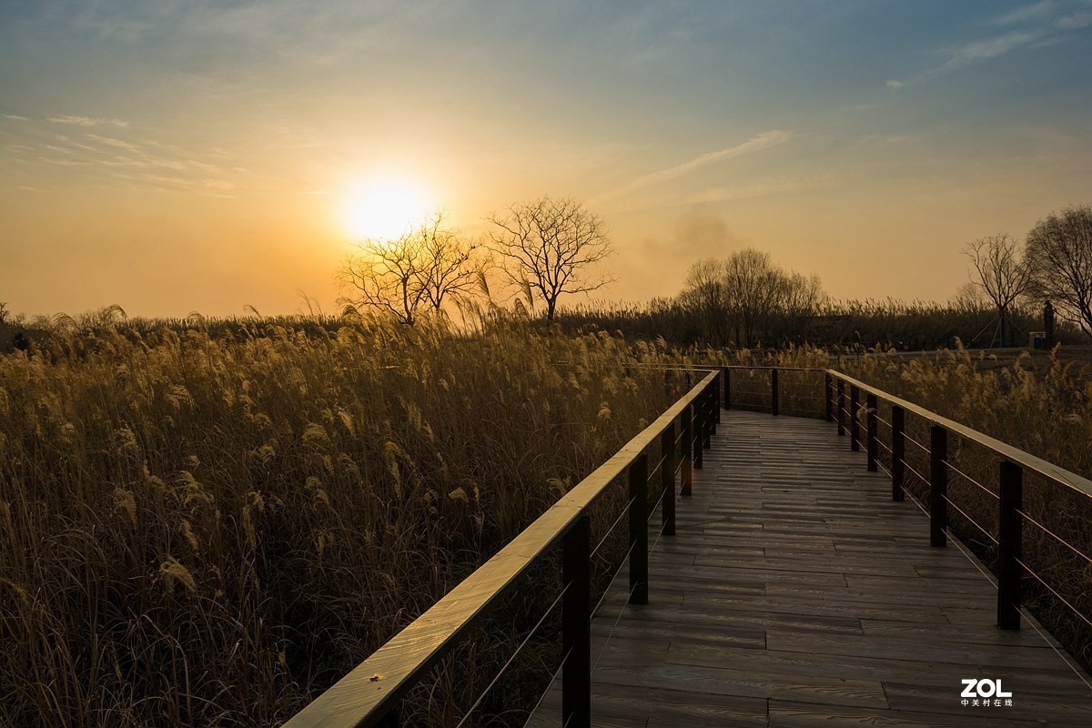 杭州湾湿地冬拍（22）---完结篇