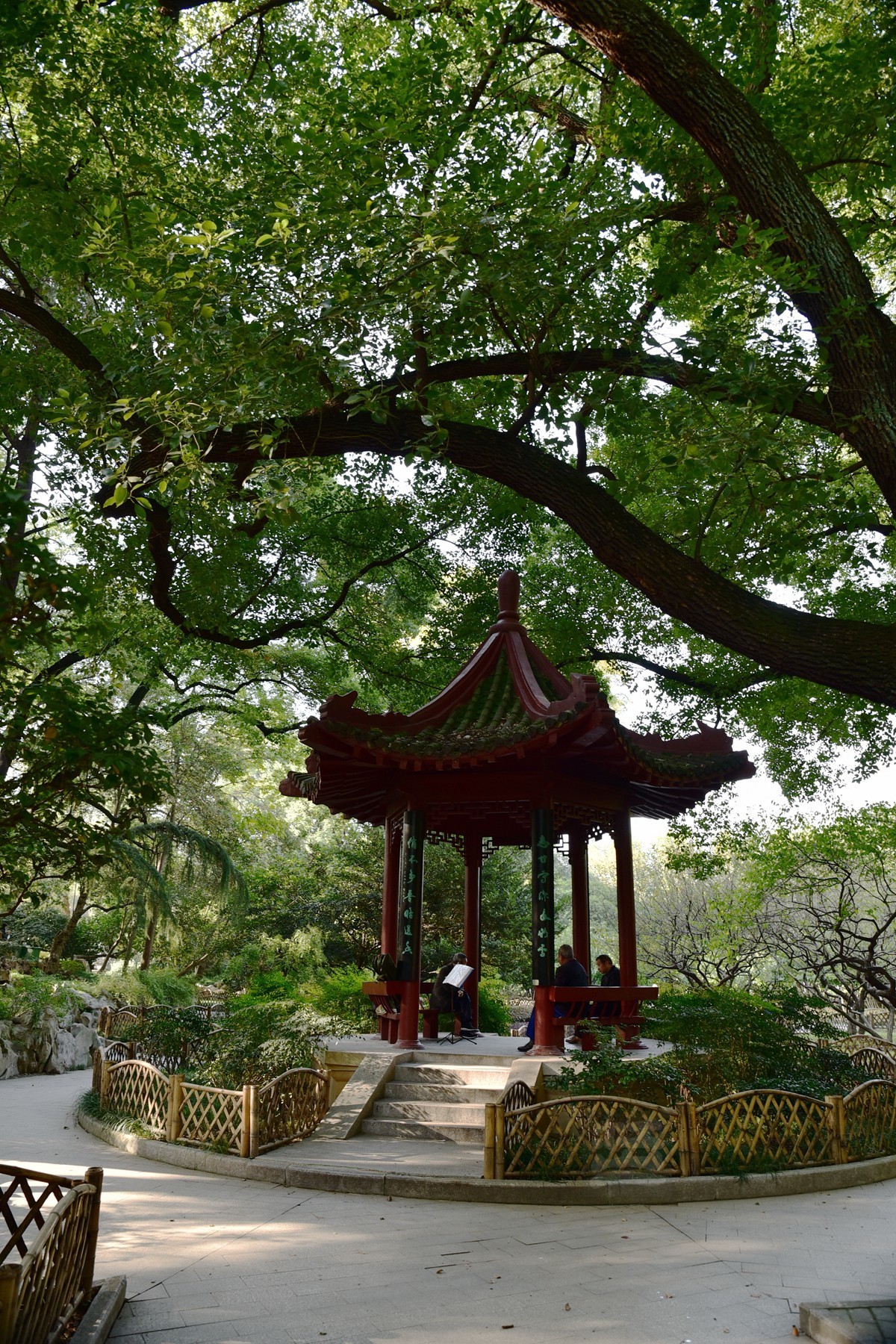 【家乡美】胜似春光——再看中山公园