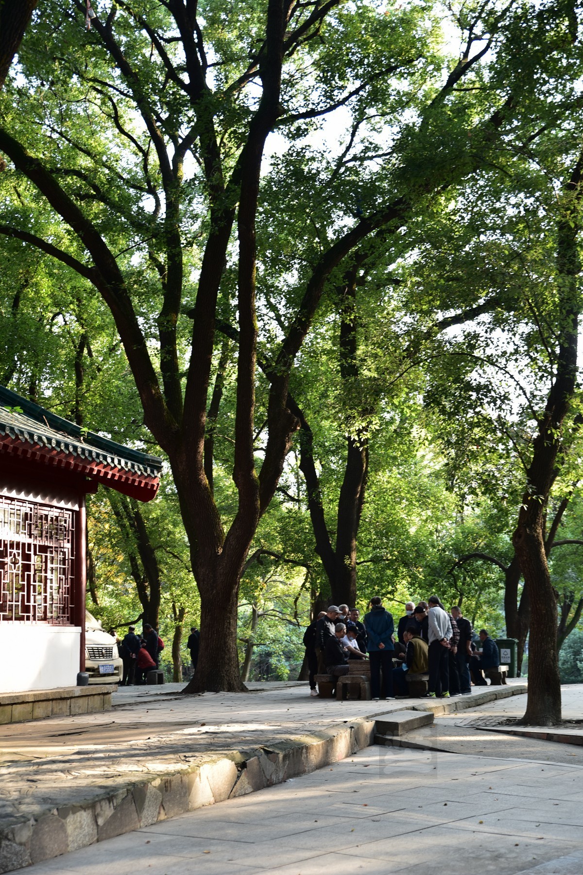 【家乡美】胜似春光——再看中山公园