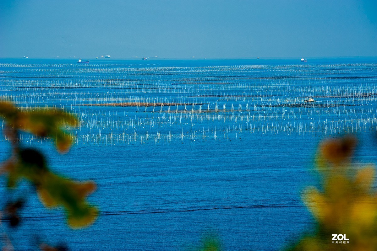 海边学生写生杂拍