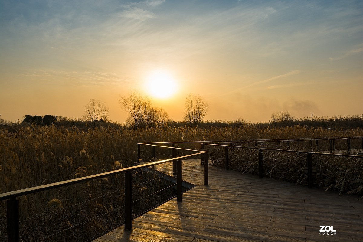 杭州湾湿地冬拍（22）---完结篇