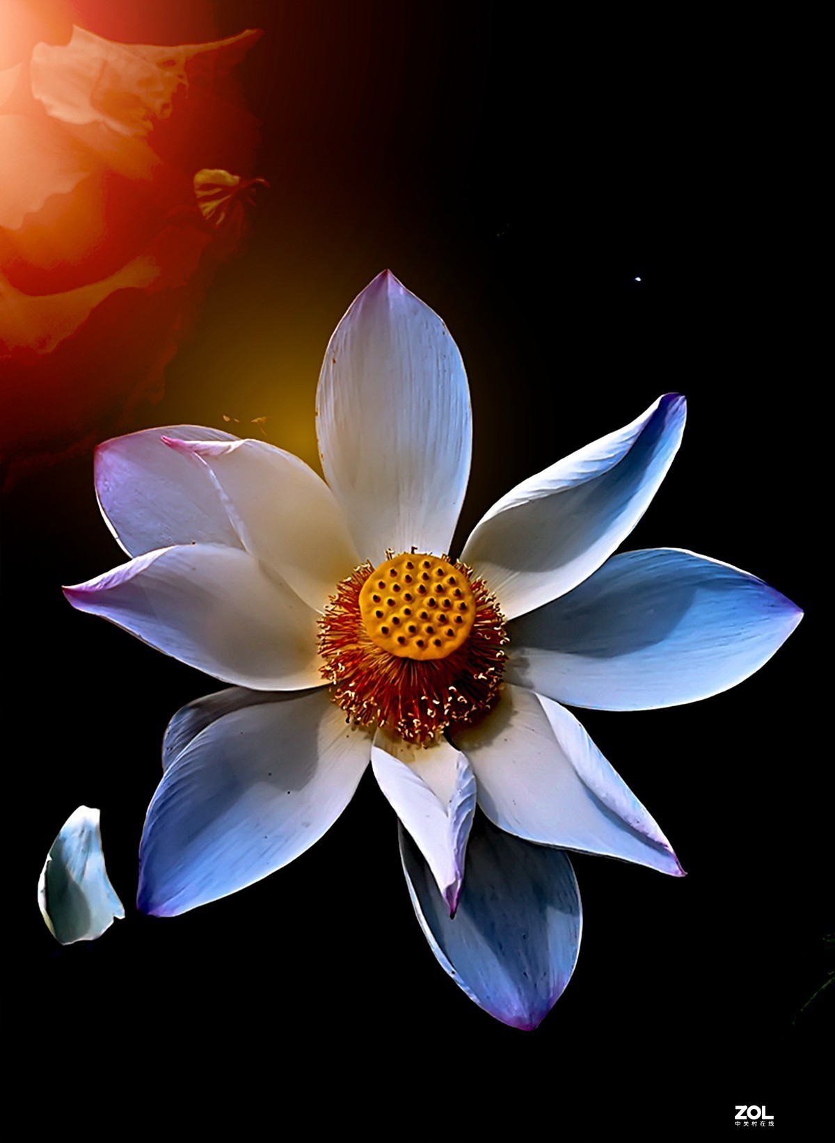 腾龙28-200F2.8试镜（原厂24-240置换）