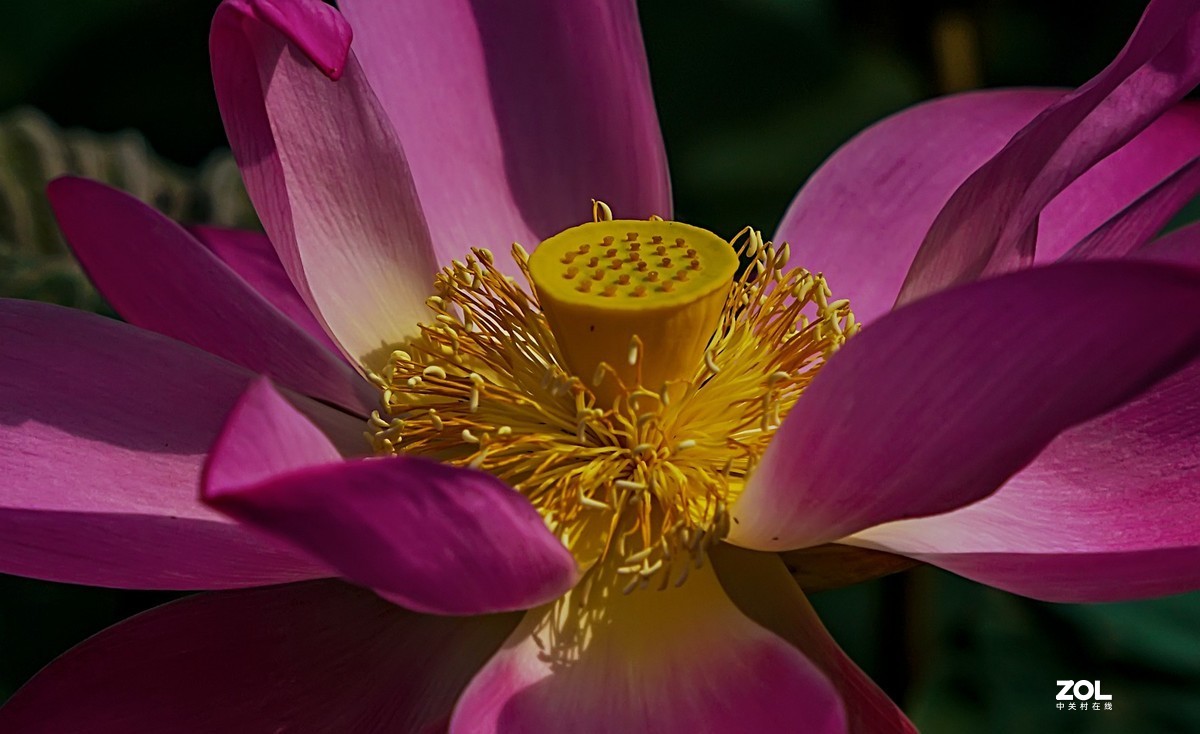 腾龙28-200F2.8试镜（原厂24-240置换）