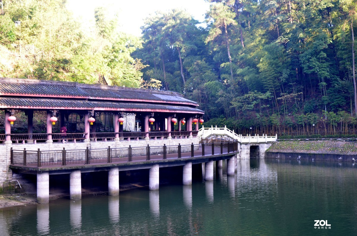 茶山竹海金盆湖图片