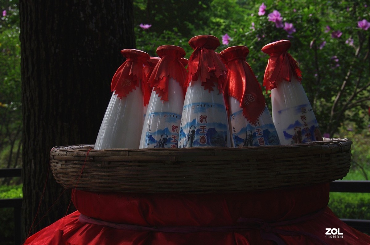 【沂蒙山天上王城纪王崮】-22P