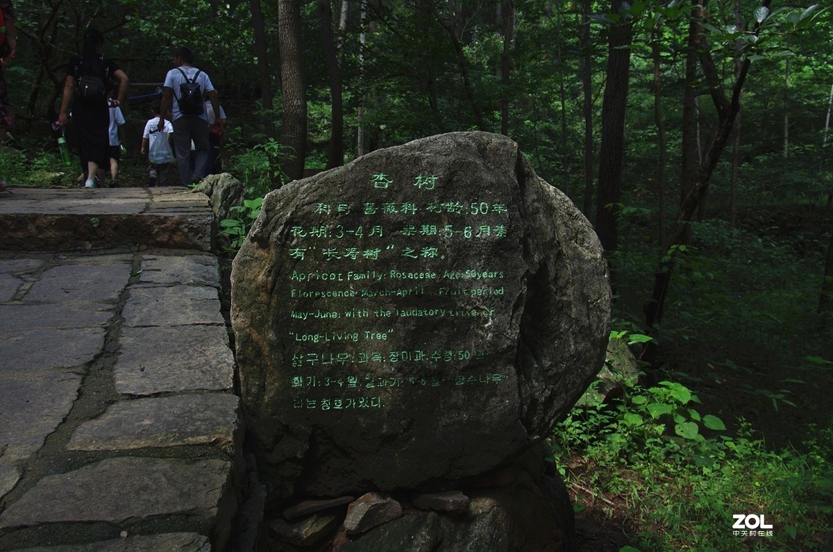 【沂蒙山天上王城纪王崮】-22P