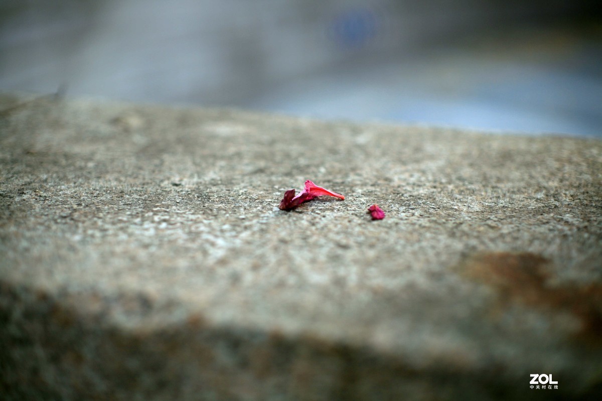 老5d+大光圈老头 PENTAX 50mm 1.4